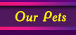Our Pets
