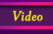 Our Puppies&Dogs HomeVideo