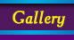 PhotoGallery of our dogs&puppies 