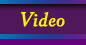 Our Puppies&Dogs HomeVideo