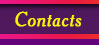 Contacts