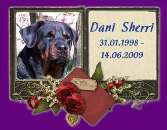 rottweiler Dany Sheri