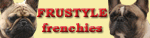 www.frbulldogs.com - french bulldogs FRUSTYLE